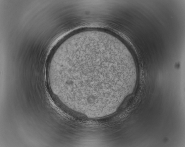 X0000115490935200912041012
