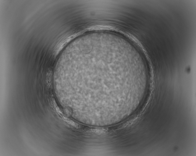 X0000115490937200912041012