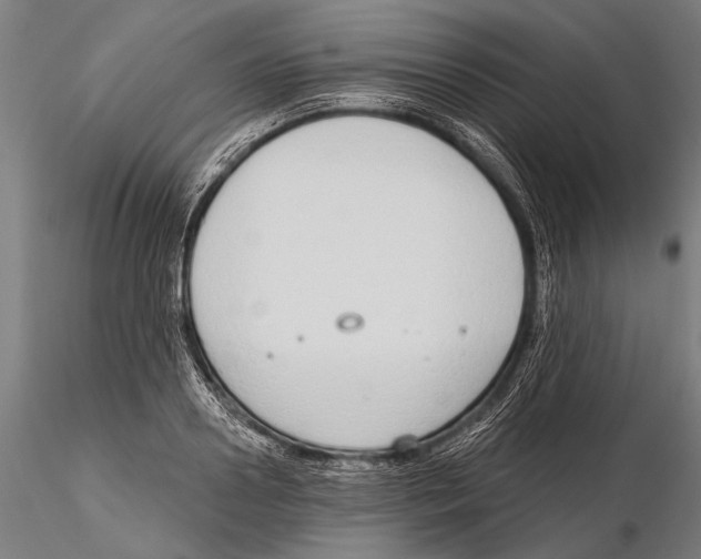 X0000115490938200912041012