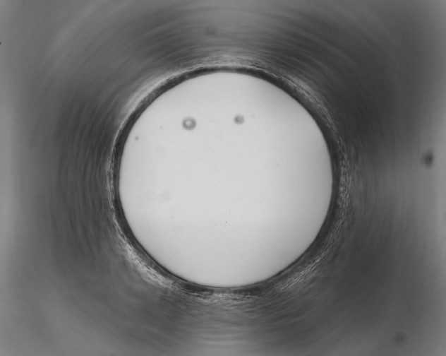 X0000115490942200912041012