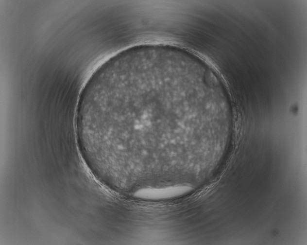 X0000115490943200912041012