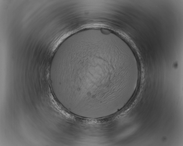 X0000115490945200912041012