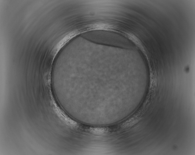X0000115490946200912041012