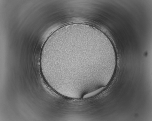 X0000115490954200912041012