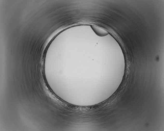X0000115490955200912041012