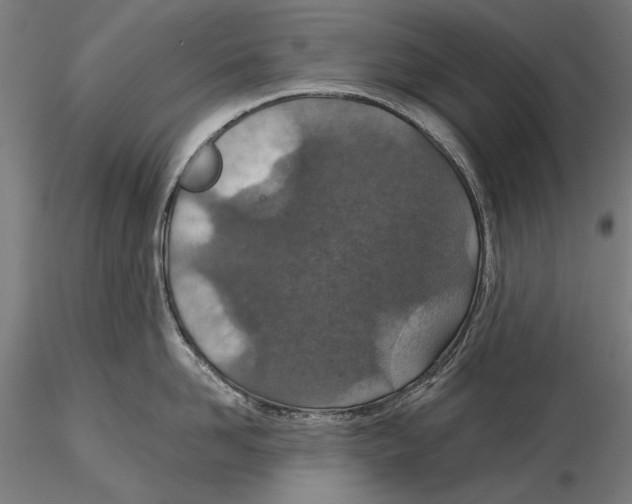 X0000115490958200912041012