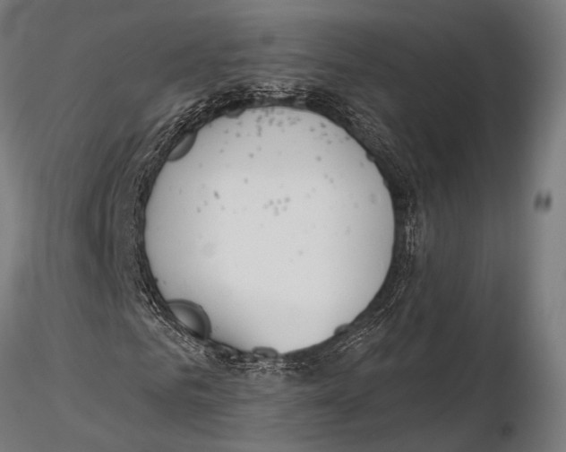 X0000115490961200912041012