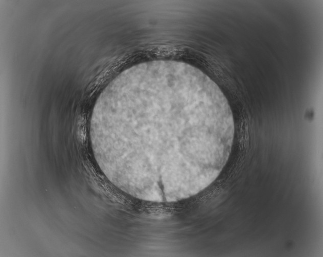 X0000115490962200912041012