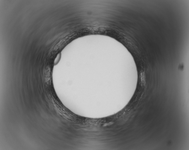 X0000115490963200912041012