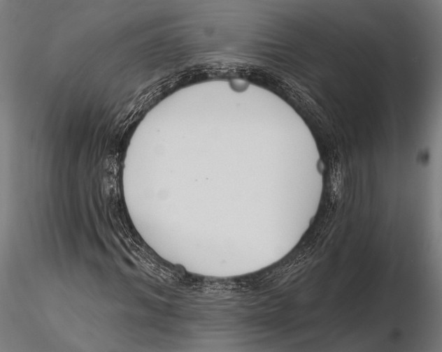 X0000115490964200912041012