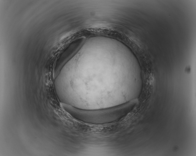 X0000115490965200912041012