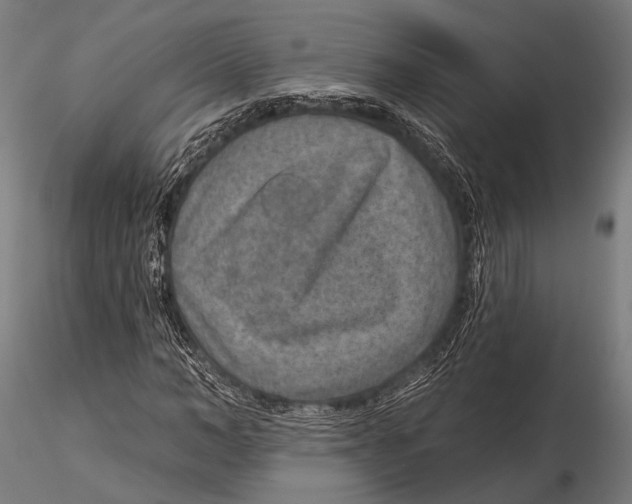 X0000115490966200912041012