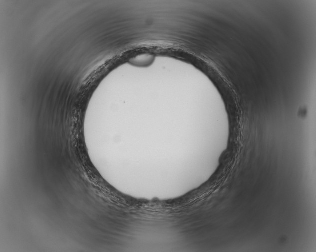 X0000115490967200912041012
