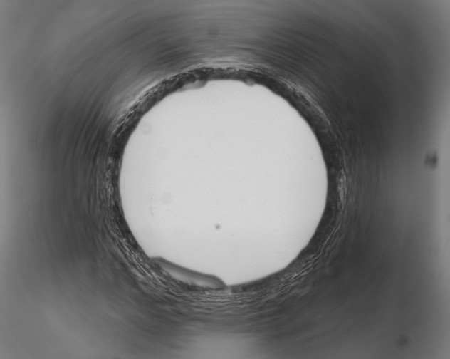 X0000115490968200912041012