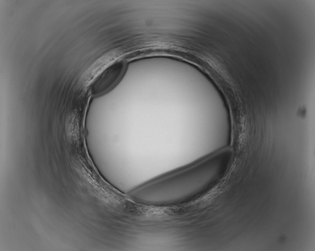 X0000115490969200912041012