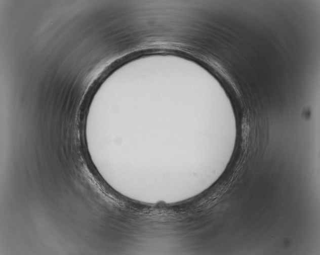 X0000115490972200912041012
