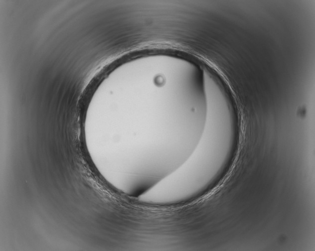 X0000115490973200912041012