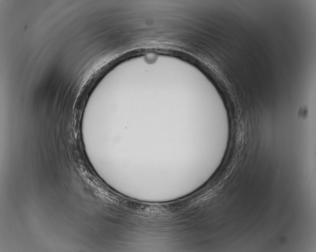 X0000115490974200912041012