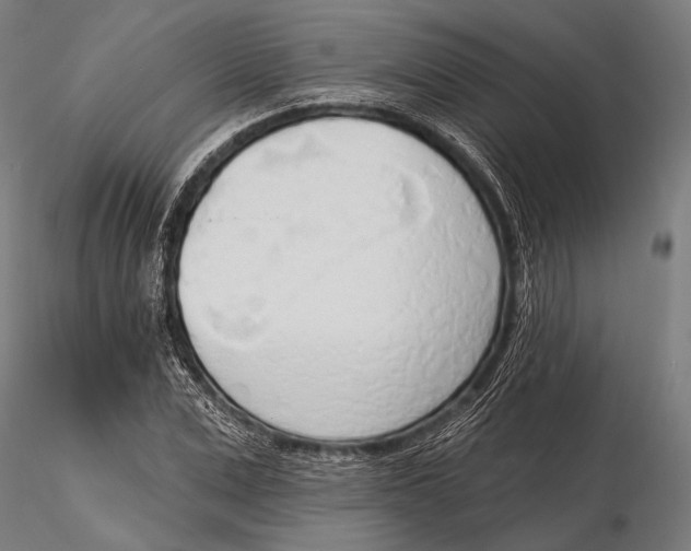 X0000115490975200912041012