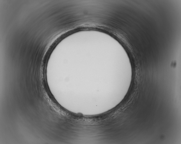 X0000115490976200912041012