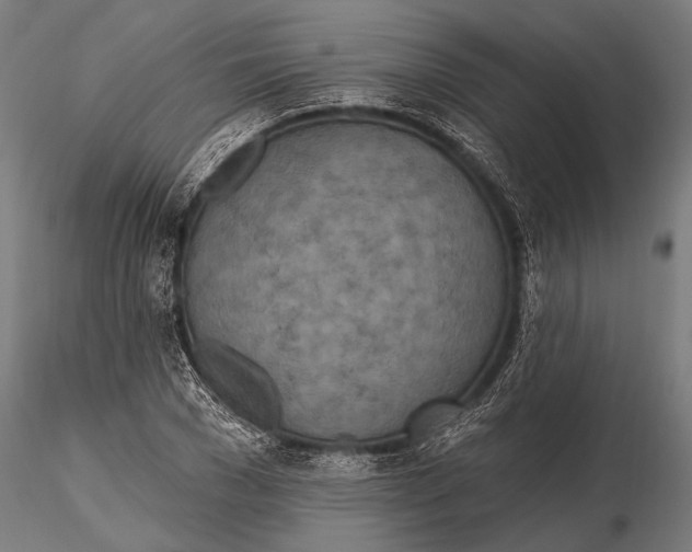 X0000115490977200912041012