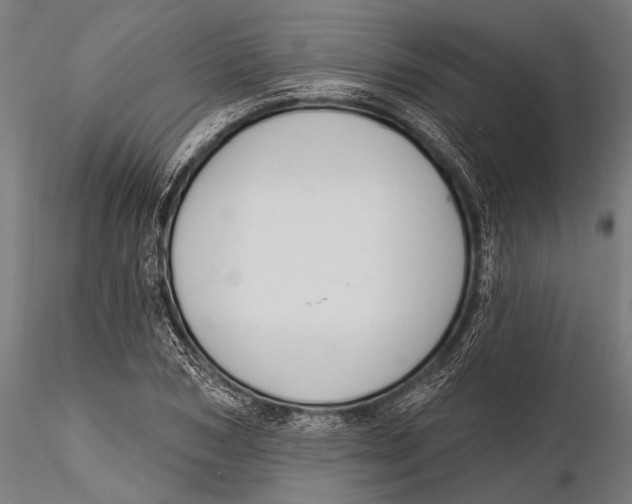 X0000115490978200912041012