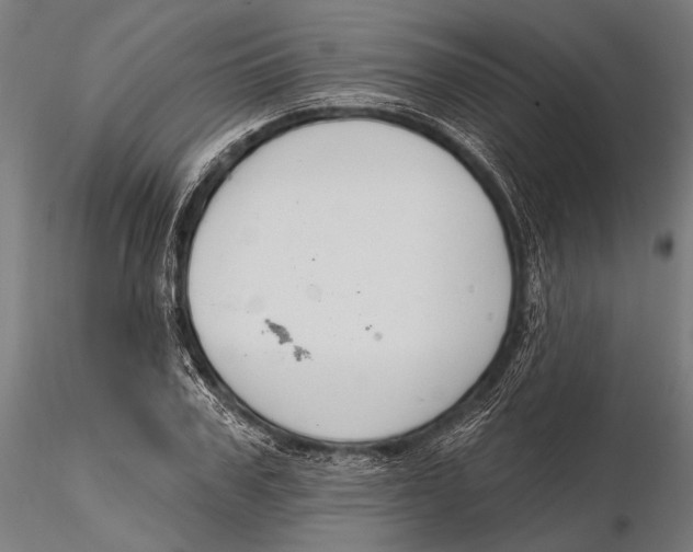 X0000115490979200912041012