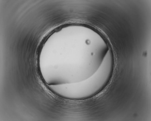 X0000115490981200912041011