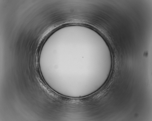 X0000115490982200912041011