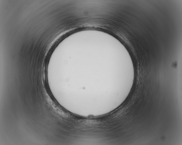 X0000115490984200912041011