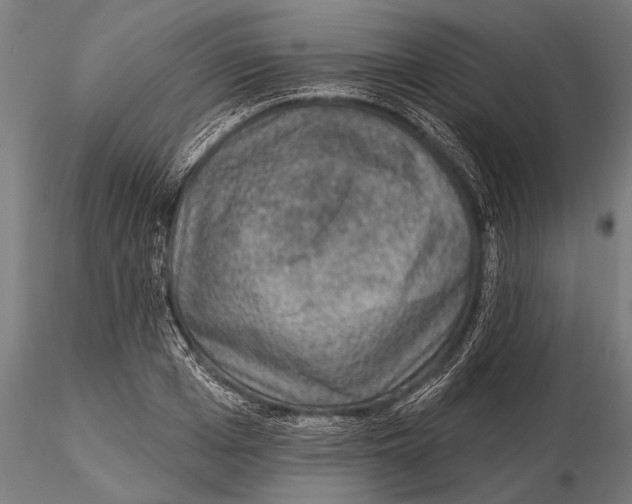 X0000115490985200912041011