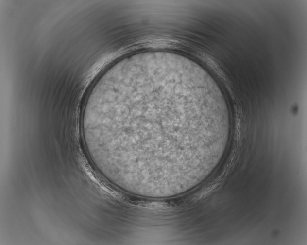 X0000115490986200912041011