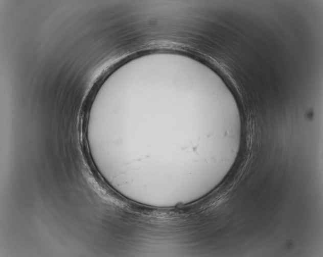 X0000115490987200912041011