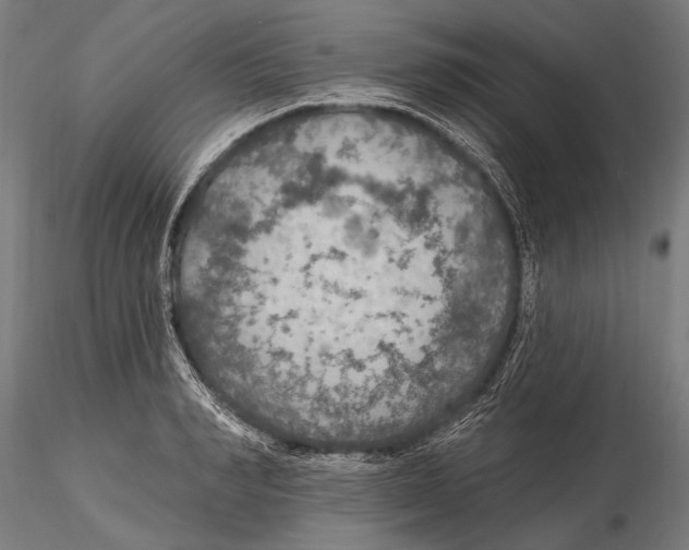 X0000115490990200912041011