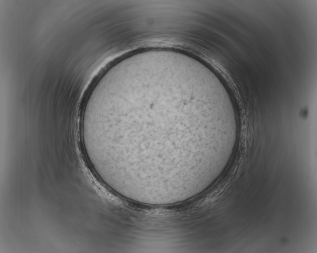 X0000115490992200912041011