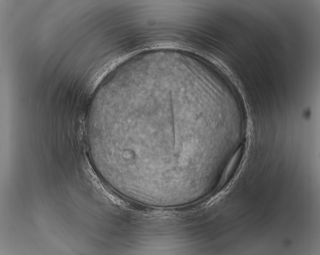 X0000115490993200912041011