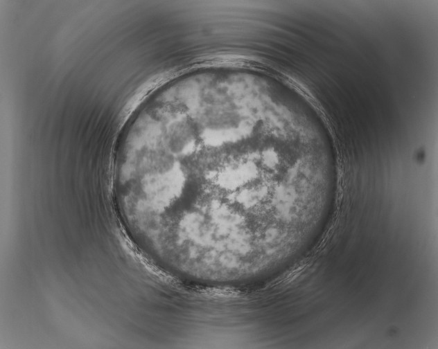 X0000115490994200912041011