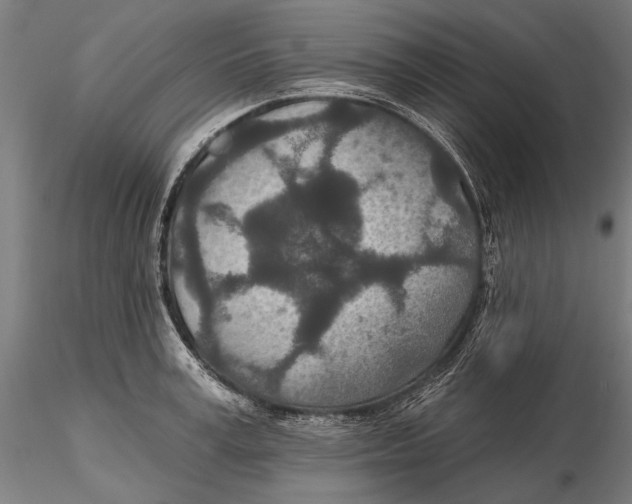 X0000115490995200912041011