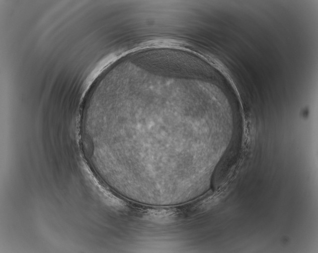 X0000115490997200912041011
