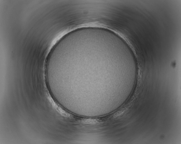 X0000115490998200912041011