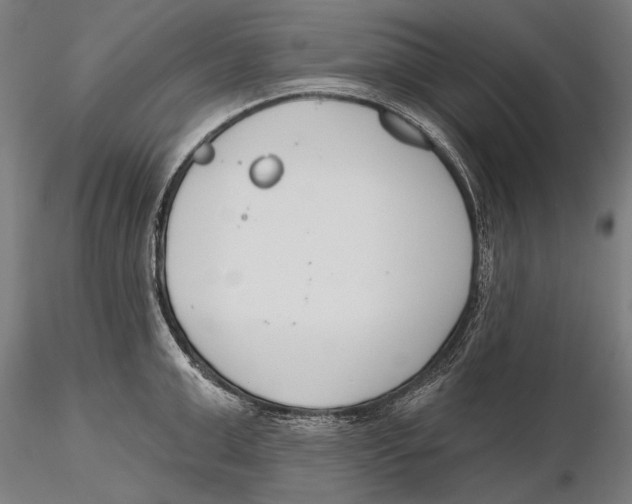 X0000115490999200912041011