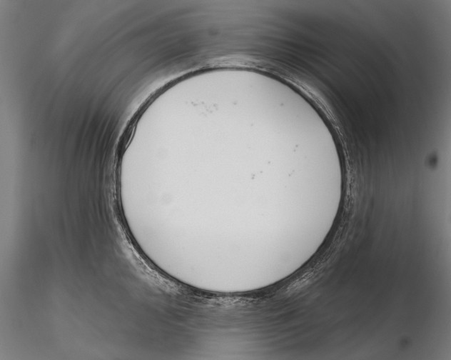 X0000115491000200912041011
