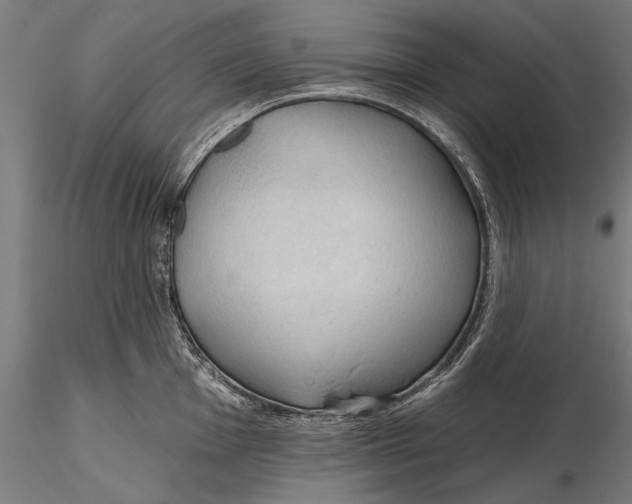 X0000115491001200912041011