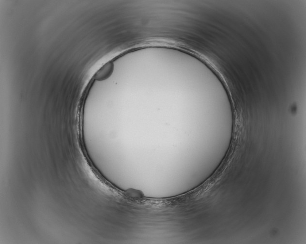 X0000115491003200912041011