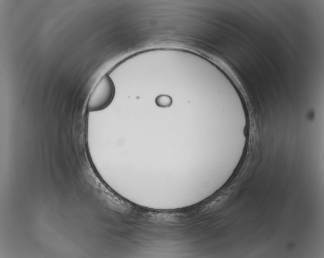 X0000115491004200912041011