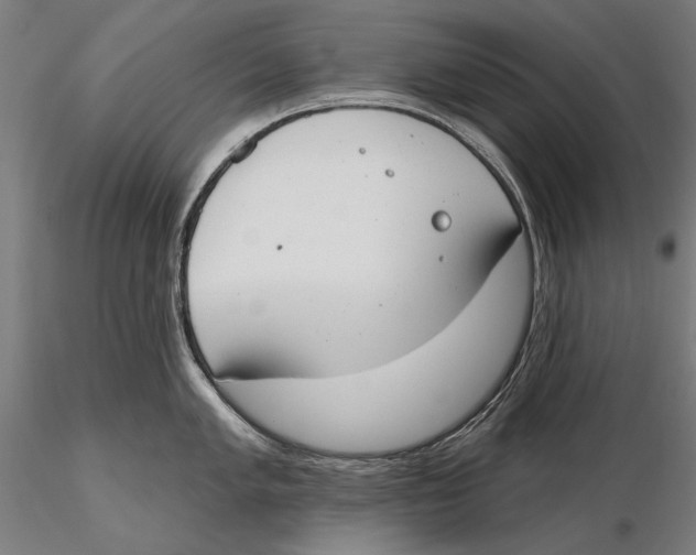 X0000115491005200912041011