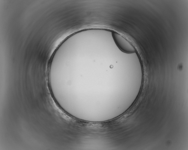 X0000115491006200912041011