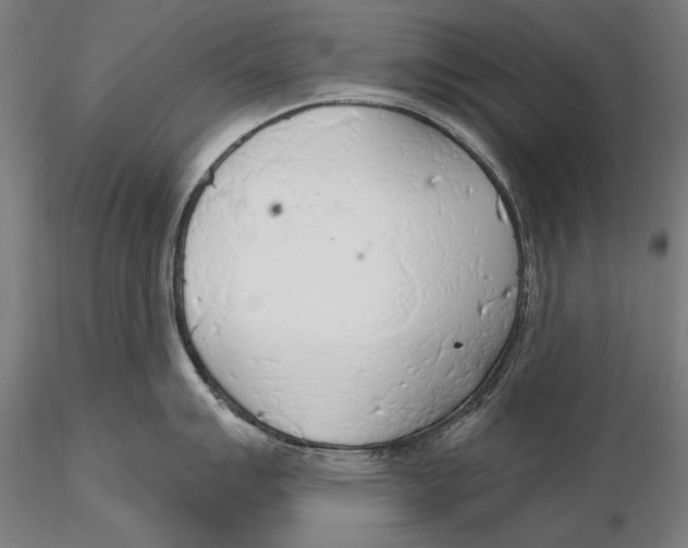 X0000115491007200912041011