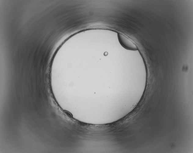 X0000115491008200912041011