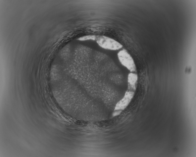 X0000115491009200912041010